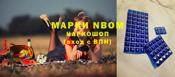 стафф Абинск
