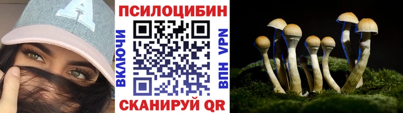Псилоцибиновые грибы Cubensis  Нижний Тагил 